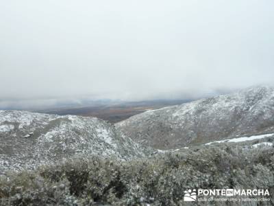 Hayedo de Pedrosa - Parque Natural Sierra Norte de Guadalajara - Hayedo de Tejera Negra